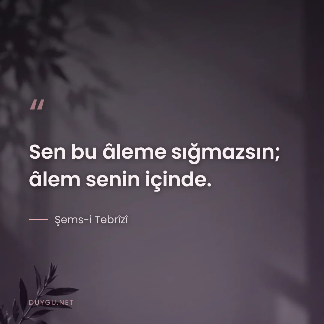 Resimli söz: Sen bu âleme sığmazsın; âlem senin içinde.