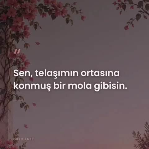 Sen, telaşımın ortasına konmuş bir mola gibisin.