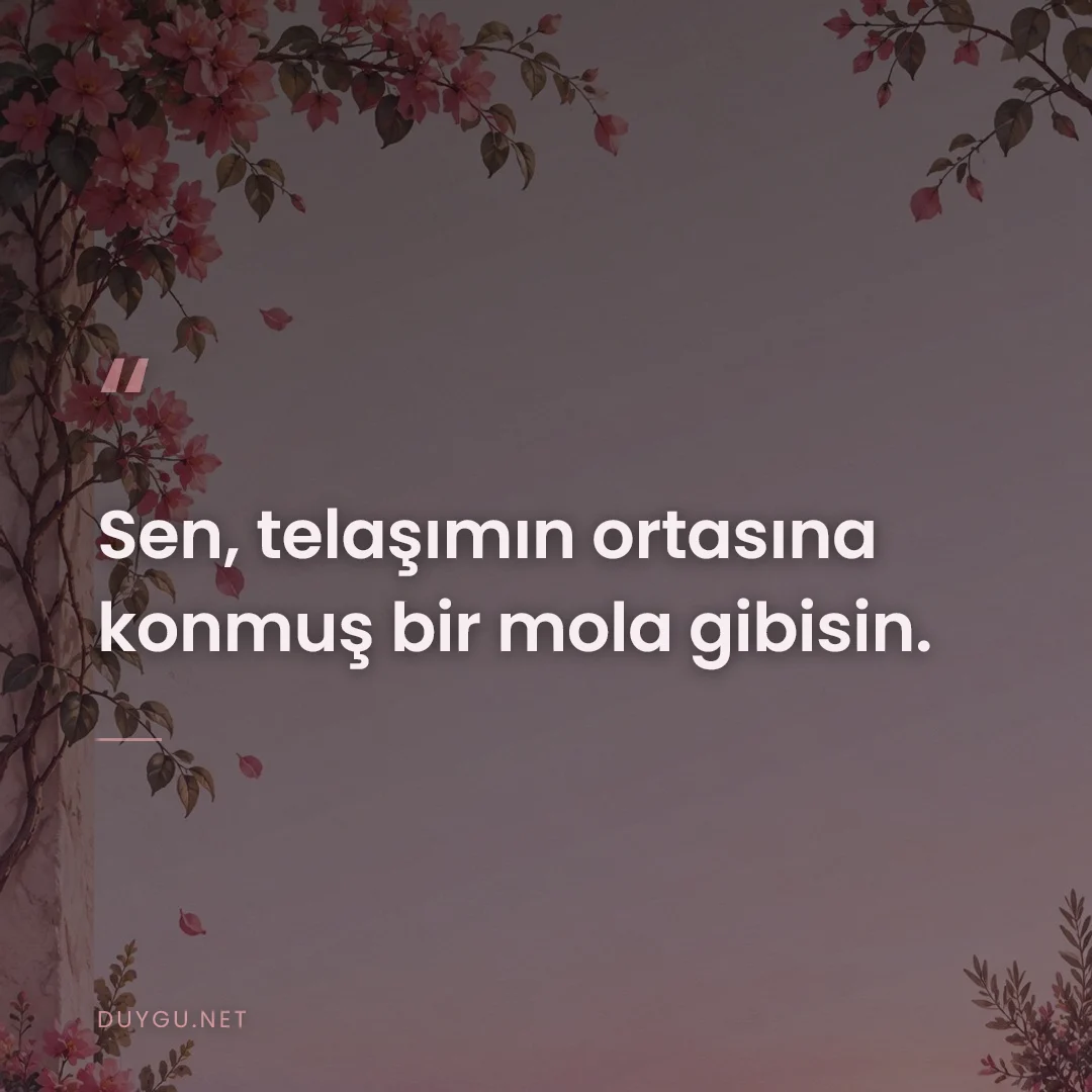 Resimli söz: Sen, telaşımın ortasına konmuş bir mola gibisin.