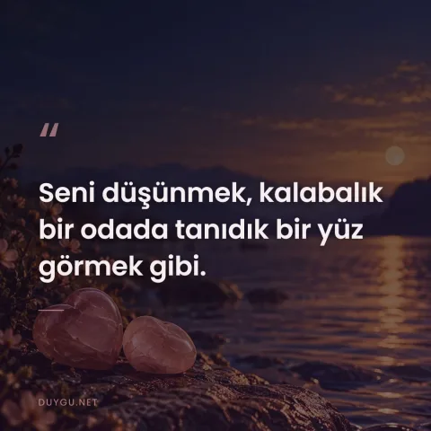 Seni düşünmek, kalabalık bir odada tanıdık bir yüz görmek gibi.