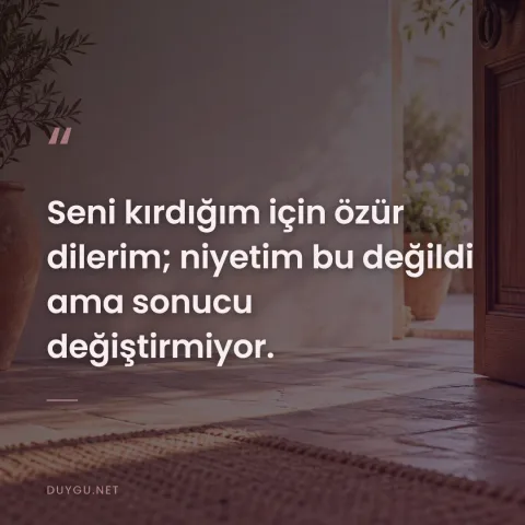 Seni kırdığım için özür dilerim; niyetim bu değildi ama sonucu değiştirmiyor.