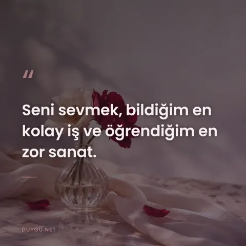 Seni sevmek, bildiğim en kolay iş ve öğrendiğim en zor sanat.