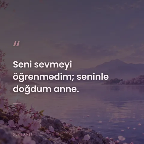 Seni sevmeyi öğrenmedim; seninle doğdum anne.
