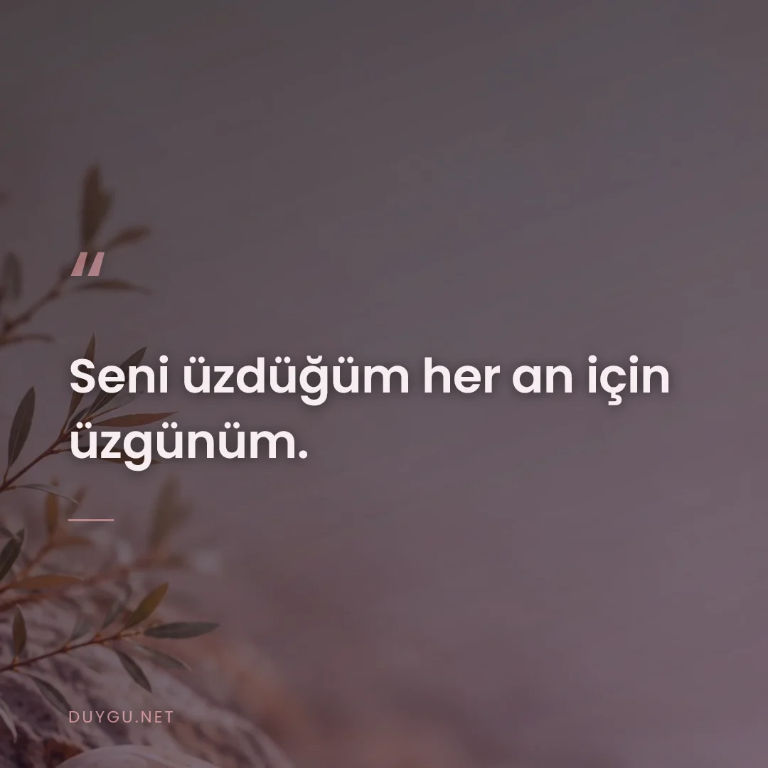 Resimli söz: Seni üzdüğüm her an için üzgünüm.