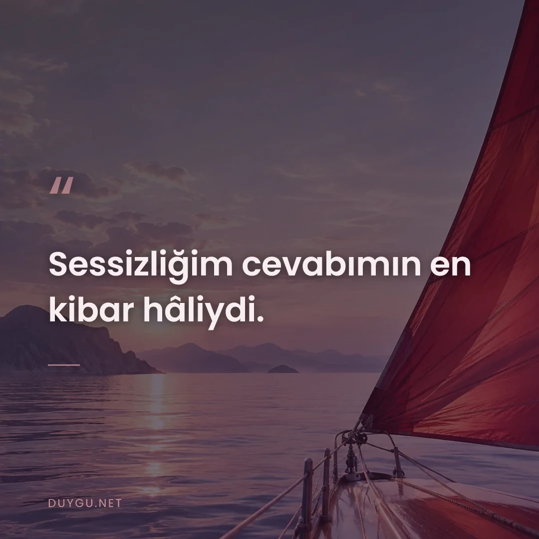 Resimli söz: Sessizliğim cevabımın en kibar hâliydi.