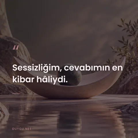 Sessizliğim, cevabımın en kibar hâliydi.