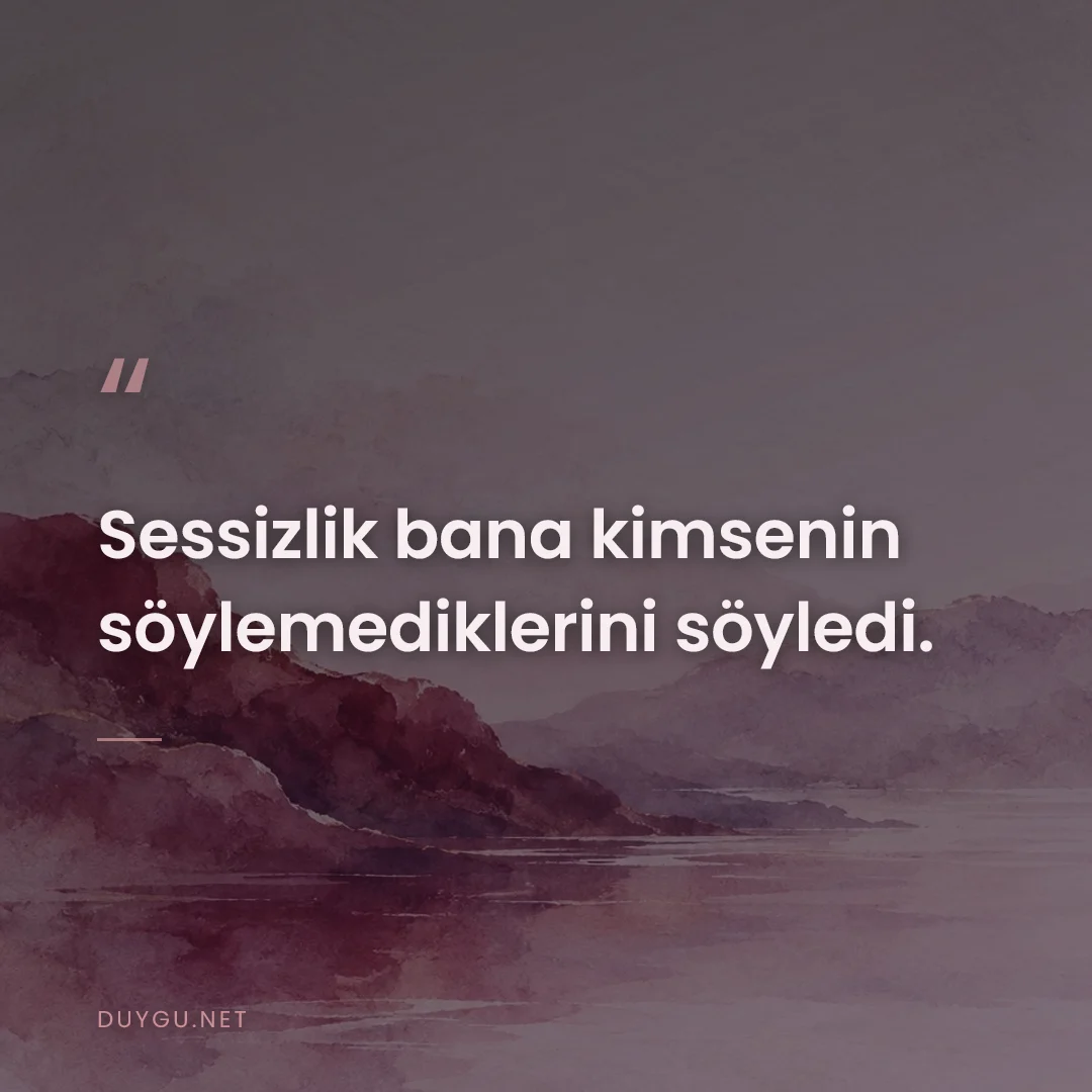 Resimli söz: Sessizlik bana kimsenin söylemediklerini söyledi.