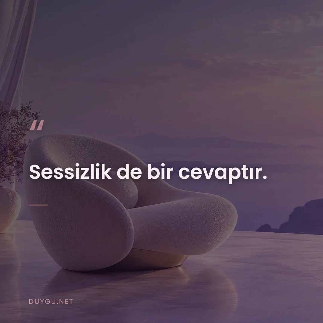 Resimli söz: Sessizlik de bir cevaptır.