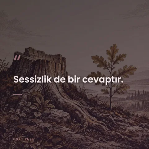 Sessizlik de bir cevaptır.