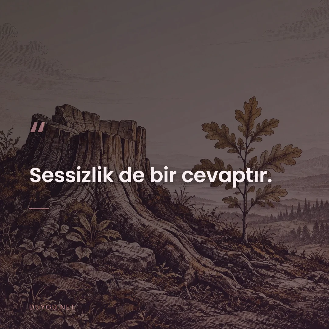 Resimli söz: Sessizlik de bir cevaptır.