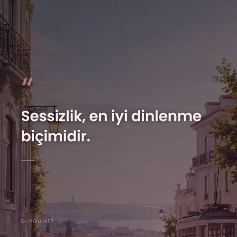 Sessizlik, en iyi dinlenme biçimidir.