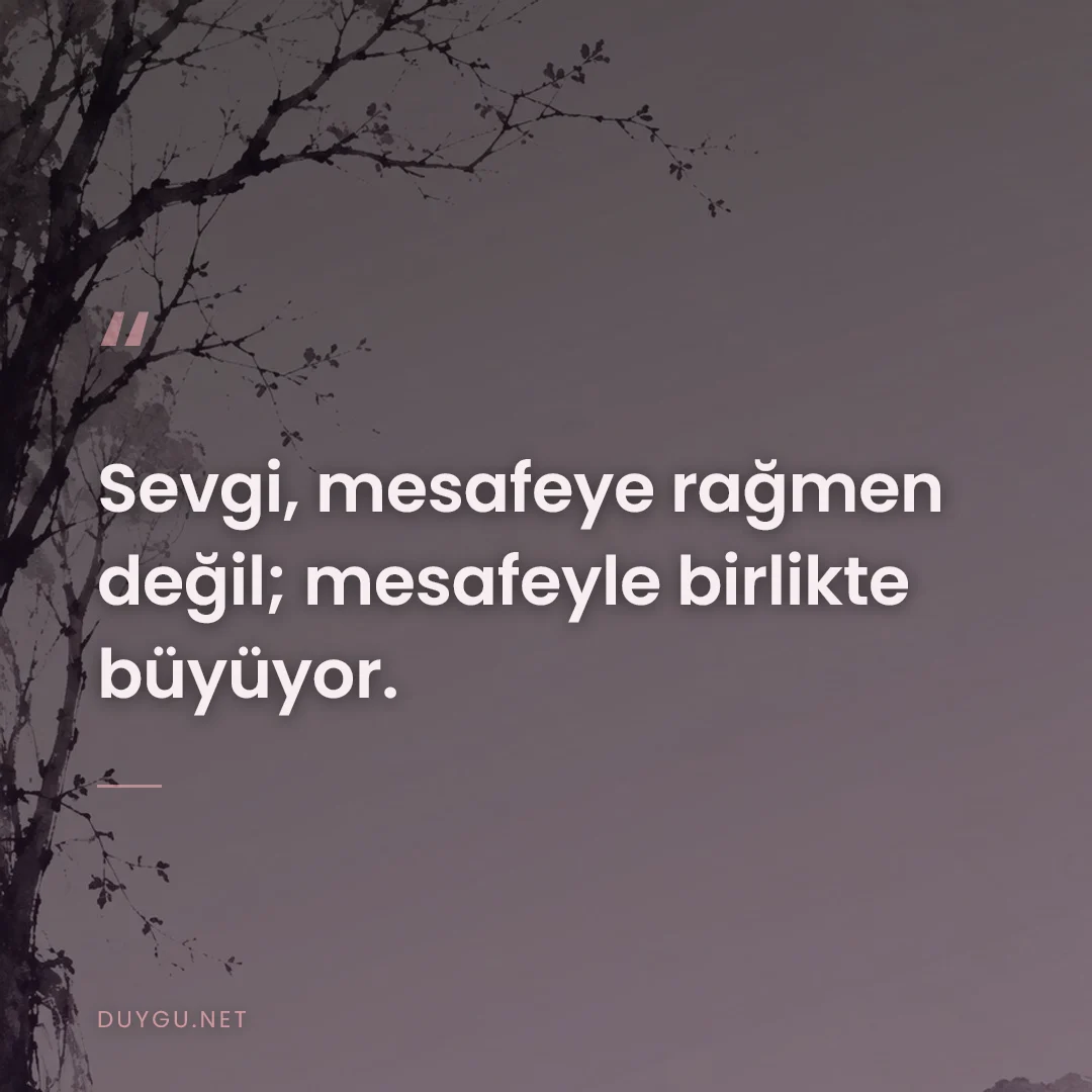 Resimli söz: Sevgi, mesafeye rağmen değil; mesafeyle birlikte büyüyor.
