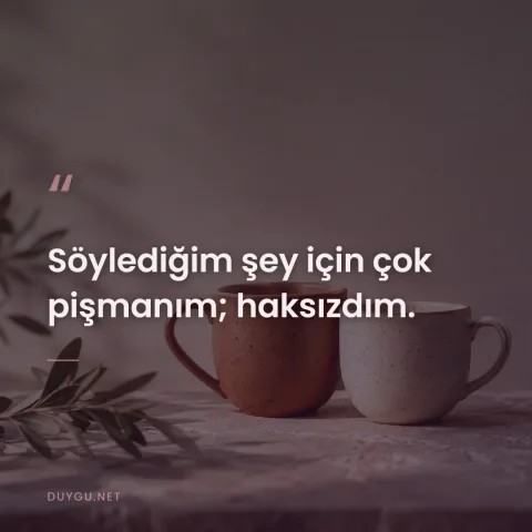 Söylediğim şey için çok pişmanım; haksızdım.