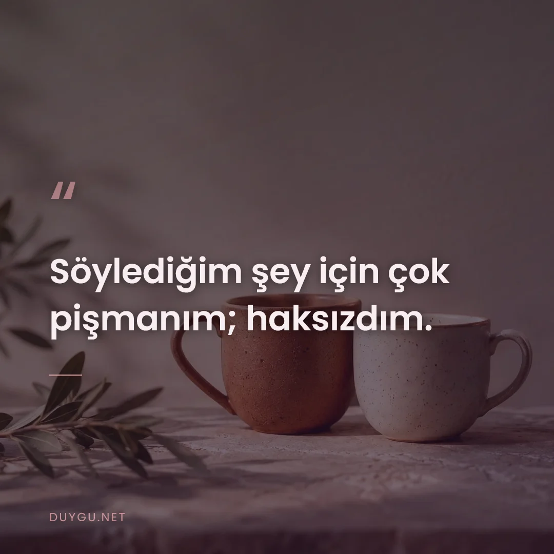 Resimli söz: Söylediğim şey için çok pişmanım; haksızdım.