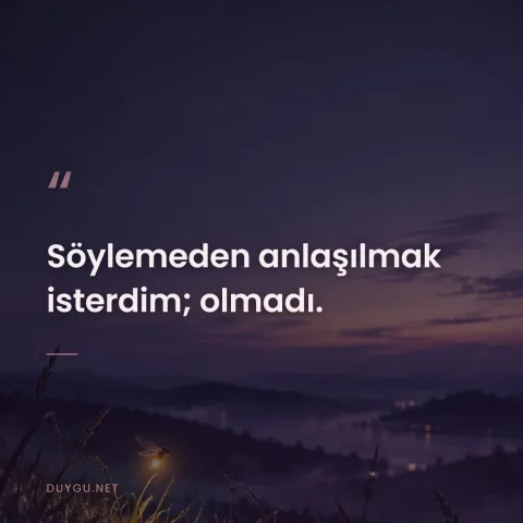 Söylemeden anlaşılmak isterdim; olmadı.