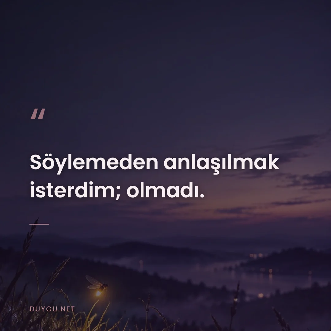 Resimli söz: Söylemeden anlaşılmak isterdim; olmadı.
