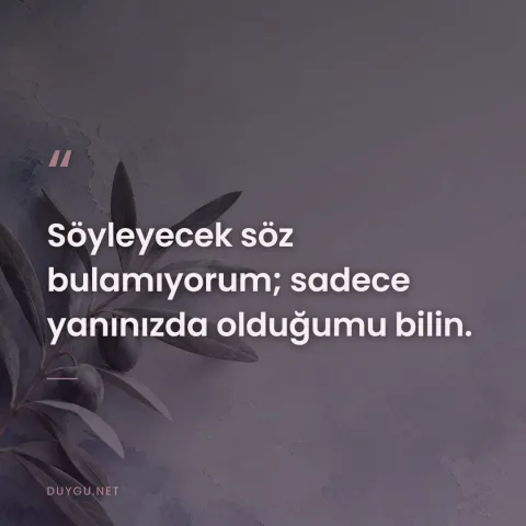 Söyleyecek söz bulamıyorum; sadece yanınızda olduğumu bilin.