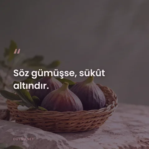 Söz gümüşse, sükût altındır.