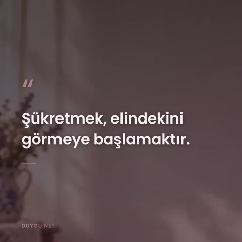 Şükretmek, elindekini görmeye başlamaktır.