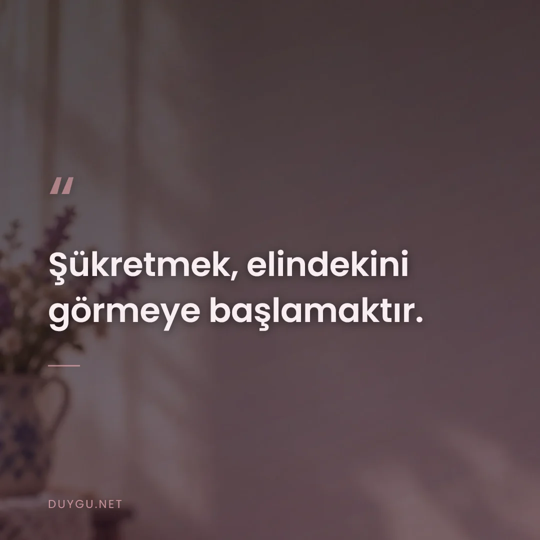 Resimli söz: Şükretmek, elindekini görmeye başlamaktır.