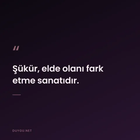 Şükür, elde olanı fark etme sanatıdır.