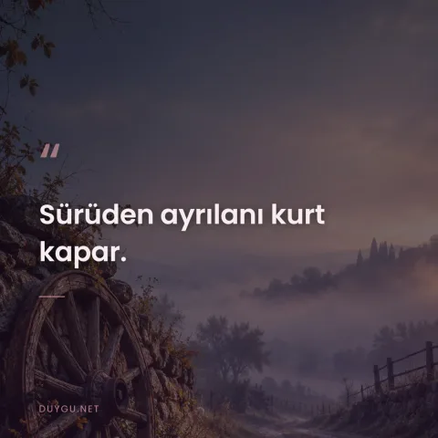 Sürüden ayrılanı kurt kapar.