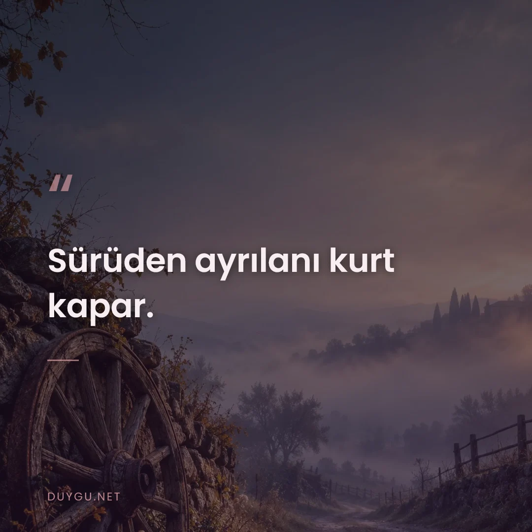 Resimli söz: Sürüden ayrılanı kurt kapar.