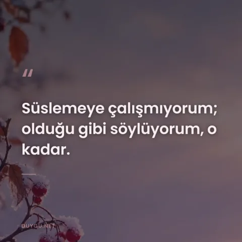 Süslemeye çalışmıyorum; olduğu gibi söylüyorum, o kadar.