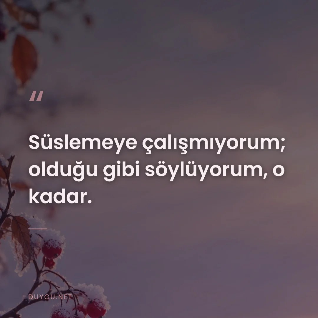 Resimli söz: Süslemeye çalışmıyorum; olduğu gibi söylüyorum, o kadar.