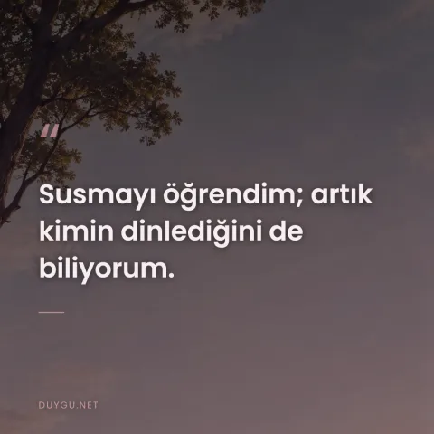 Susmayı öğrendim; artık kimin dinlediğini de biliyorum.