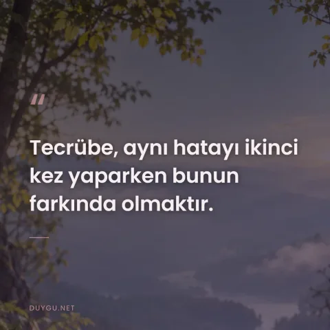 Tecrübe, aynı hatayı ikinci kez yaparken bunun farkında olmaktır.