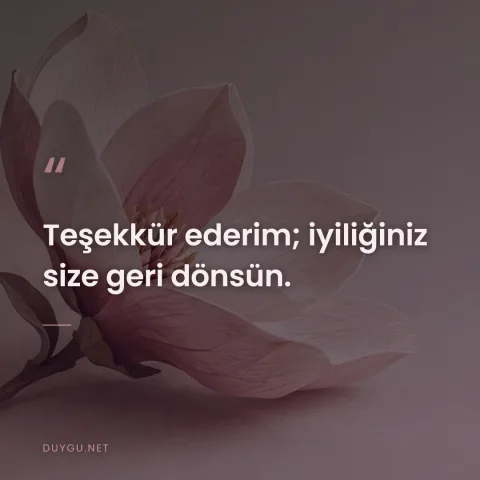 Teşekkür ederim; iyiliğiniz size geri dönsün.