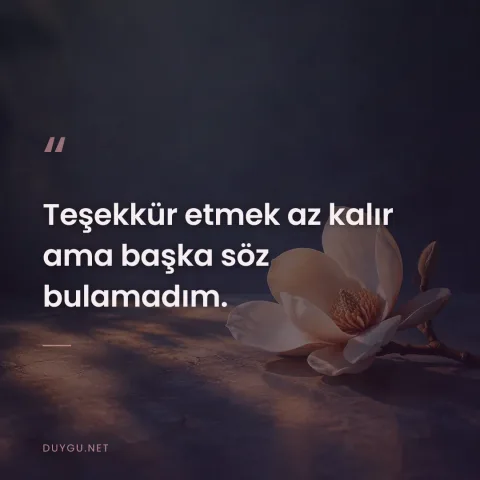 Teşekkür etmek az kalır ama başka söz bulamadım.