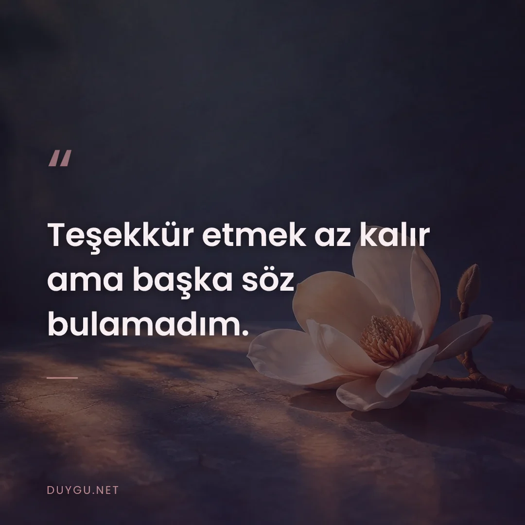 Resimli söz: Teşekkür etmek az kalır ama başka söz bulamadım.