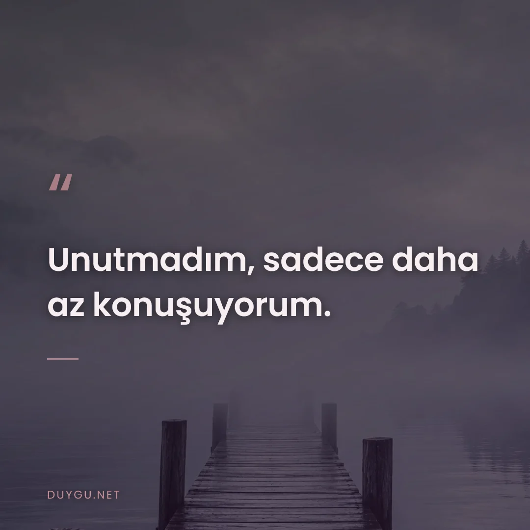 Resimli söz: Unutmadım, sadece daha az konuşuyorum.