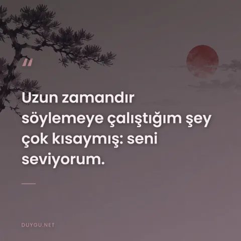 Uzun zamandır söylemeye çalıştığım şey çok kısaymış: seni seviyorum.