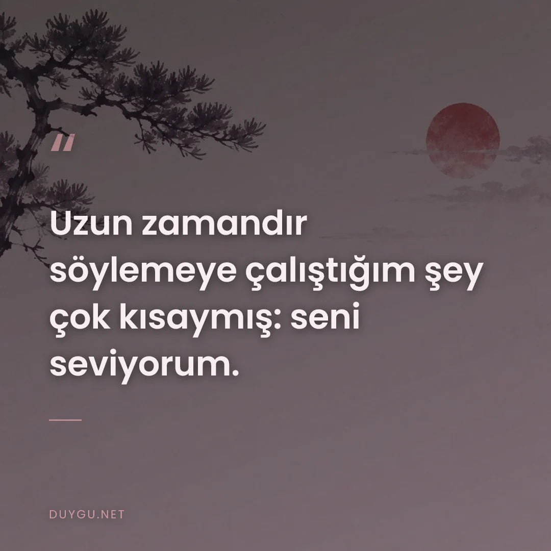 Resimli söz: Uzun zamandır söylemeye çalıştığım şey çok kısaymış: seni seviyorum.