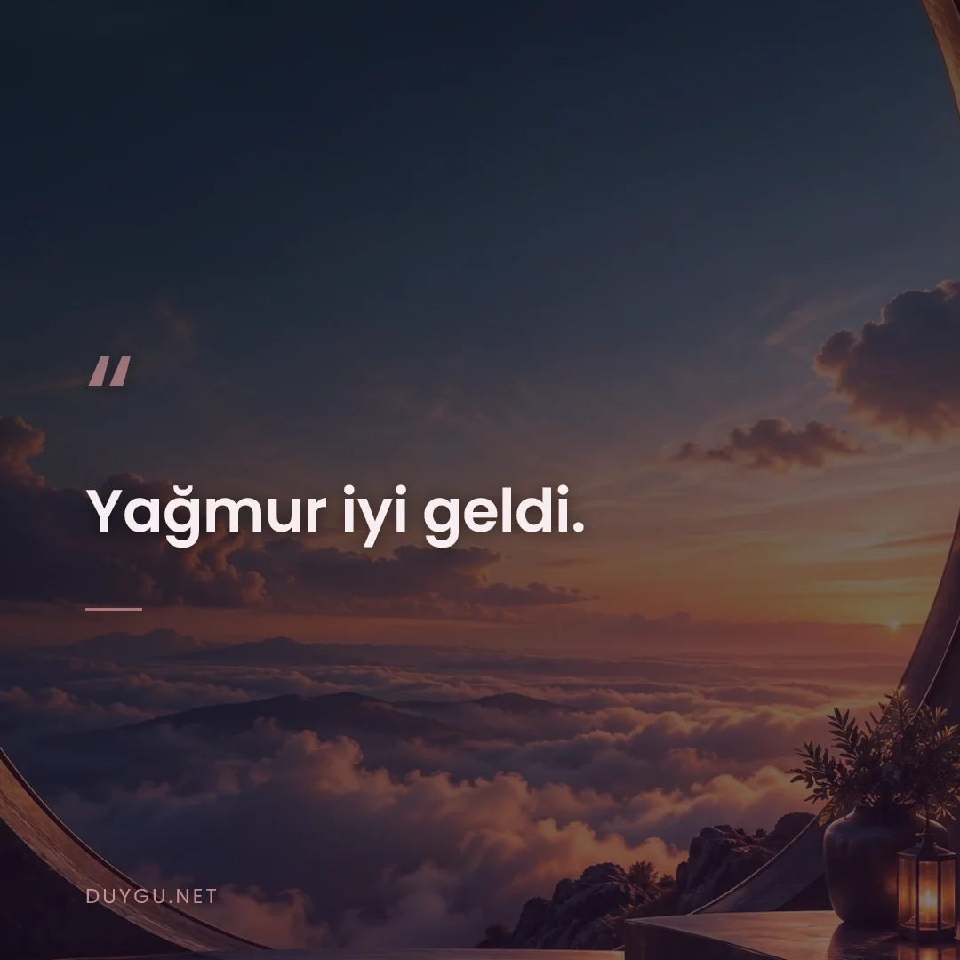 Resimli söz: Yağmur iyi geldi.