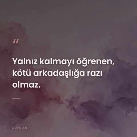 Yalnız kalmayı öğrenen, kötü arkadaşlığa razı olmaz.