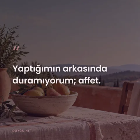 Yaptığımın arkasında duramıyorum; affet.
