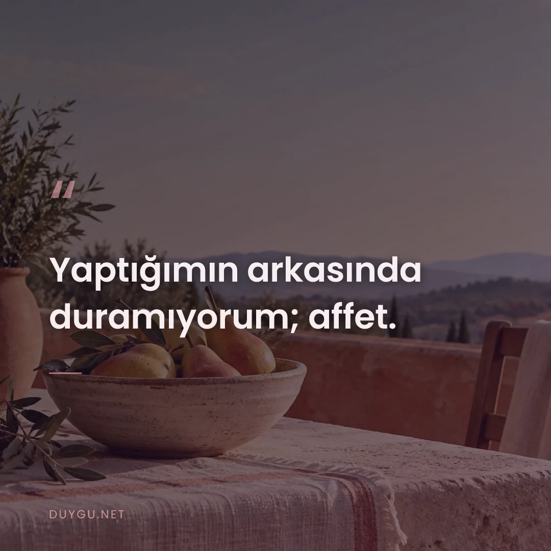 Resimli söz: Yaptığımın arkasında duramıyorum; affet.