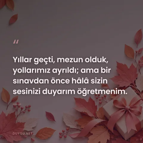 Yıllar geçti, mezun olduk, yollarımız ayrıldı; ama bir sınavdan önce hâlâ sizin sesinizi duyarım öğretmenim.
