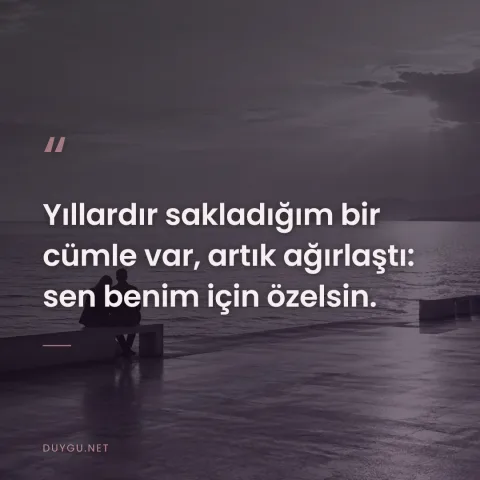 Yıllardır sakladığım bir cümle var, artık ağırlaştı: sen benim için özelsin.
