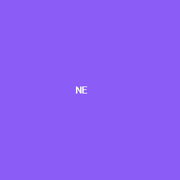 Nisa Erdoğan